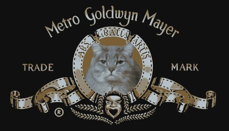 Metro Goldwyn Mayer – представляет