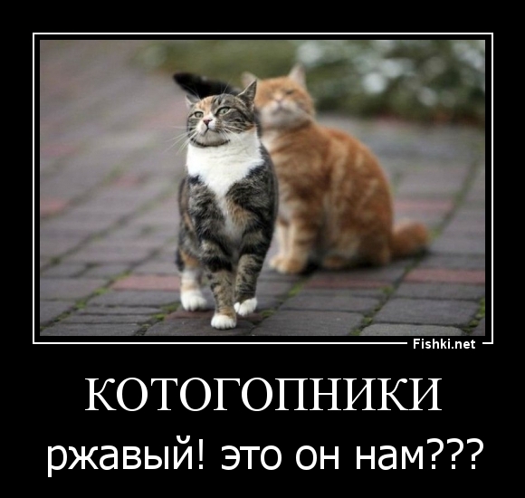 Котогопники