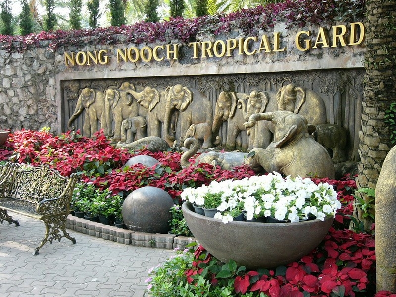 ТАИЛАНД. ТРОПИЧЕСКИЙ САД НОНГ НУЧ (Nong Nooch Tropical Garden)