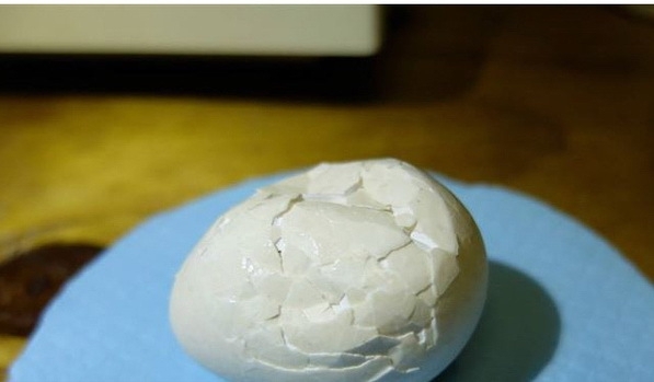Одно из самых редких яиц в мире