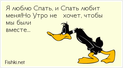 Я люблю Спать, и Спать любит меня!Но Утро не   хочет, чтобы мы были  вместе...