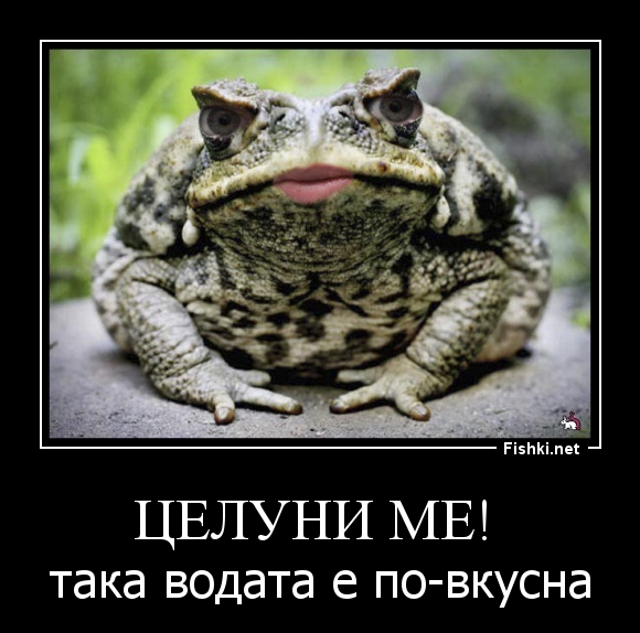 Целуни ме! 