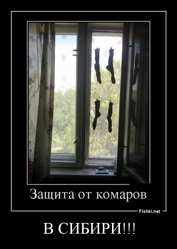 В Сибири!!!