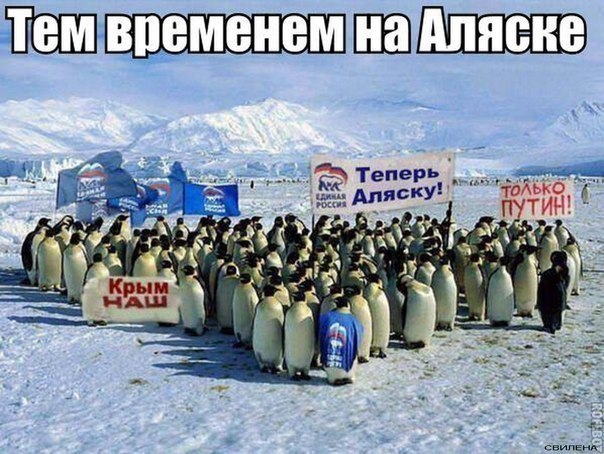 Пингвинов специально привезли из Антарктиды))) 