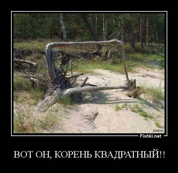 Вот он, корень квадратный!!