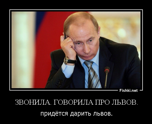 Звонила. Говорила про львов.