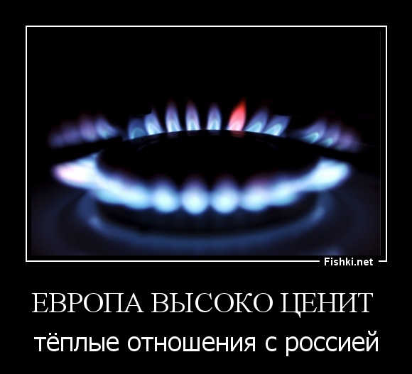 Европа высоко ценит 