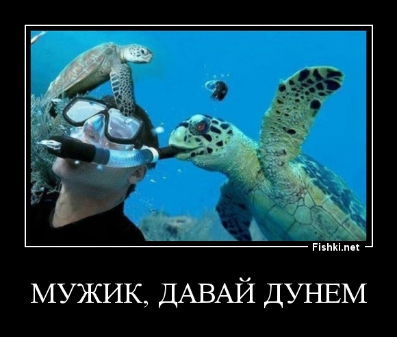мужик, давай дунем
