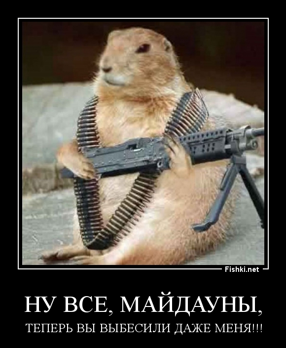 НУ ВСЕ, МАЙДАУНЫ,
