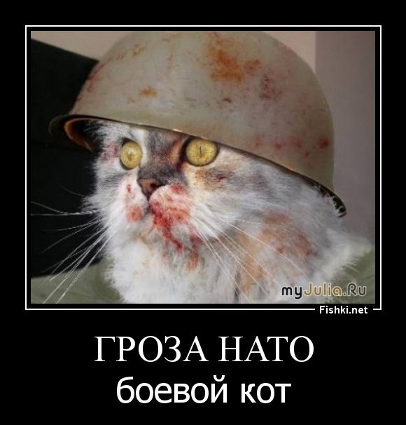 гроза нато