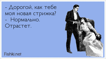 - Дорогой, как тебе моя новая стрижка? -  Нормально. Отрастет.