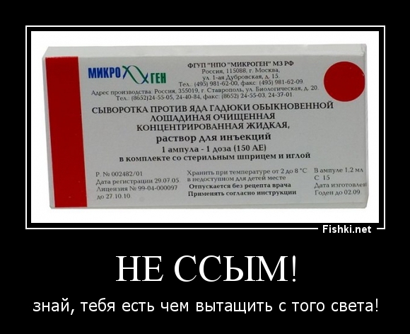 Не ссым!