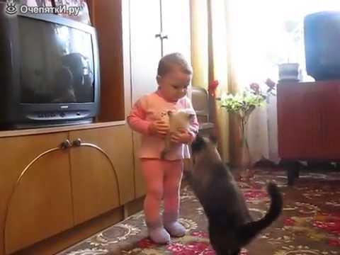 Кошка спасает котёнка от ребёнка