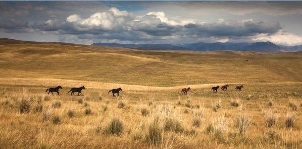 Природа Казахстана в фотографиях 