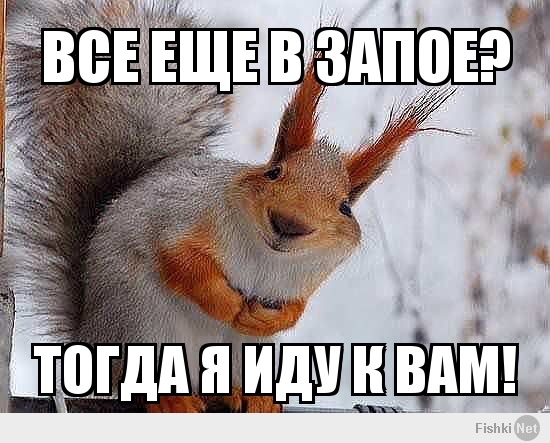 Все еще в запое?