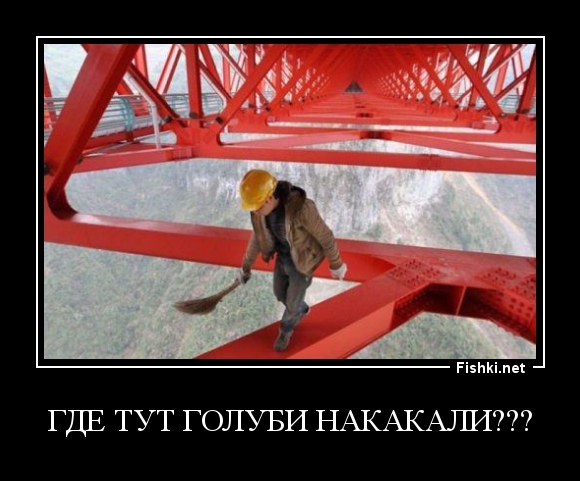 ГДЕ ТУТ ГОЛУБИ НАКАКАЛИ???