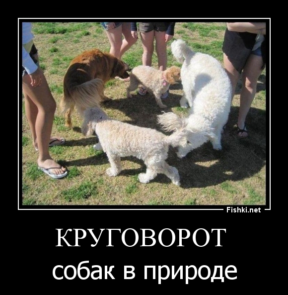 Круговорот 