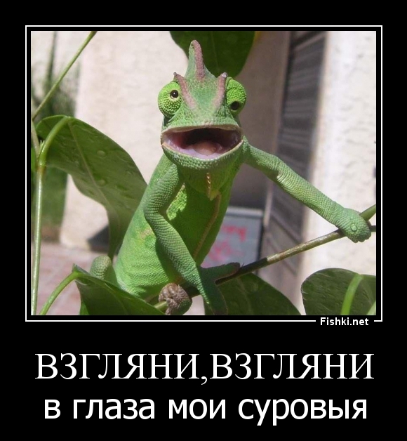 ВЗГЛЯНИ,ВЗГЛЯНИ