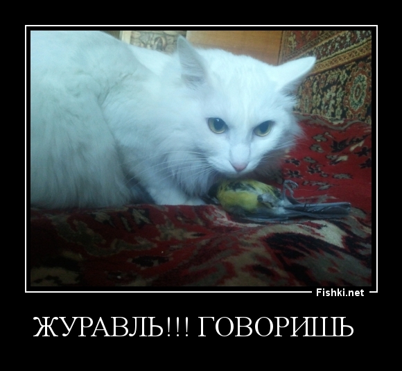 журавль!!! говоришь  