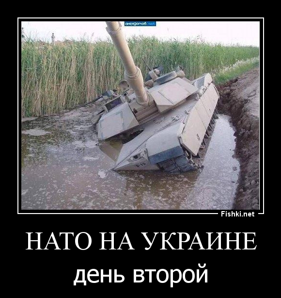 НАТО на УКРАИНЕ