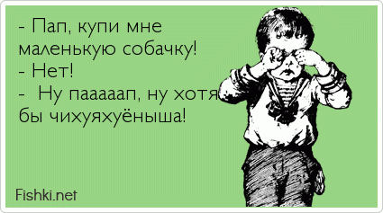 - Пап, купи мне маленькую собачку! - Нет! -  Ну пааааап, ну хотя бы чихуяхуёныша!