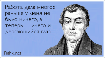 Работа дала многое: раньше у меня не было ничего, а  теперь - ничего и дергающийся глаз 