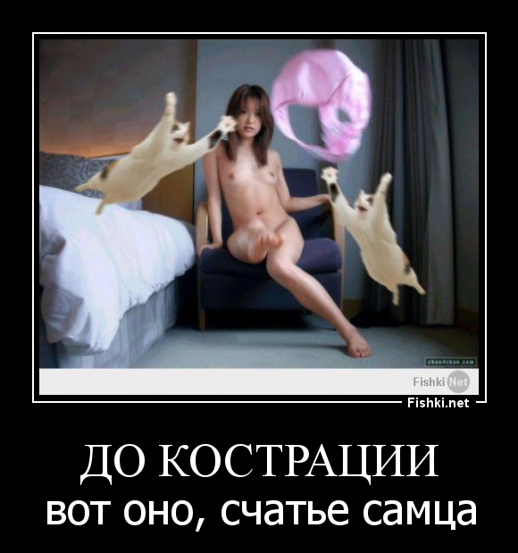 до кострации
