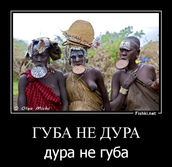 губа не дура