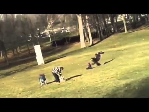 Орел украл ребенка)