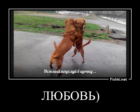 Любовь)