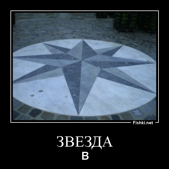 ЗВЕЗДА