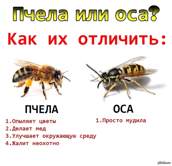 Так вот в чём разница!