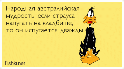 Народная австралийская мудрость: если страуса напугать на кладбище, то он испугается дважды.