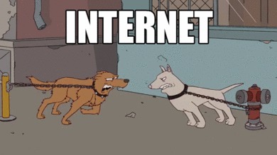 Интернет и реальность