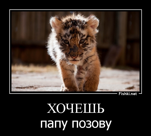 хочешь