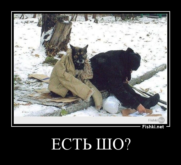есть шо?