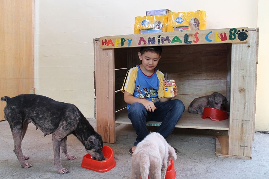 Девятилетний мальчик создал приют для животных в своём гараже.