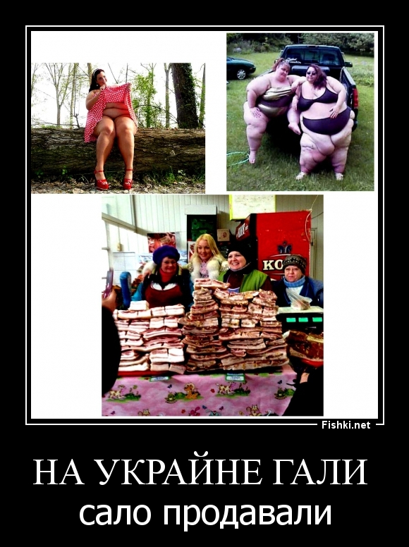 На Украйне Гали 