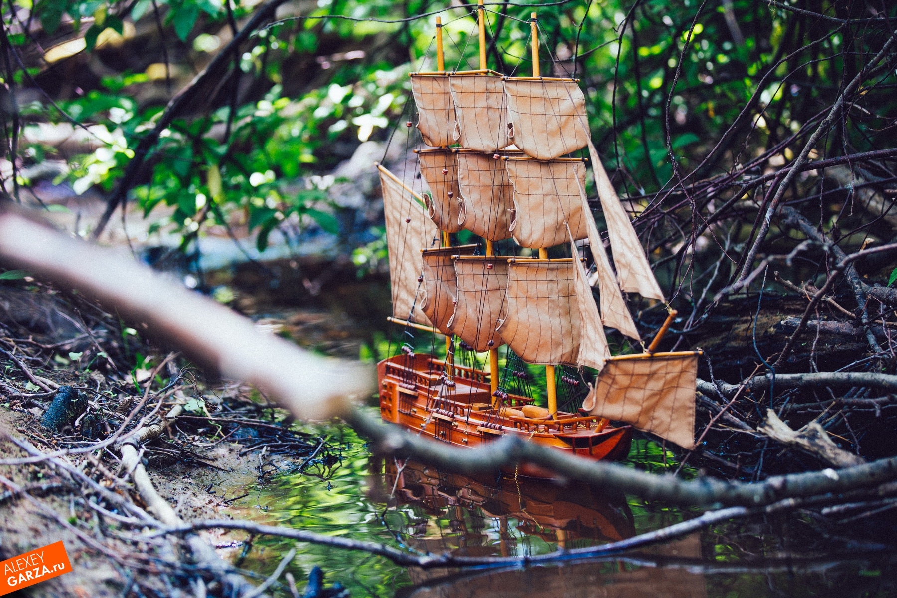 Корабли в лесу