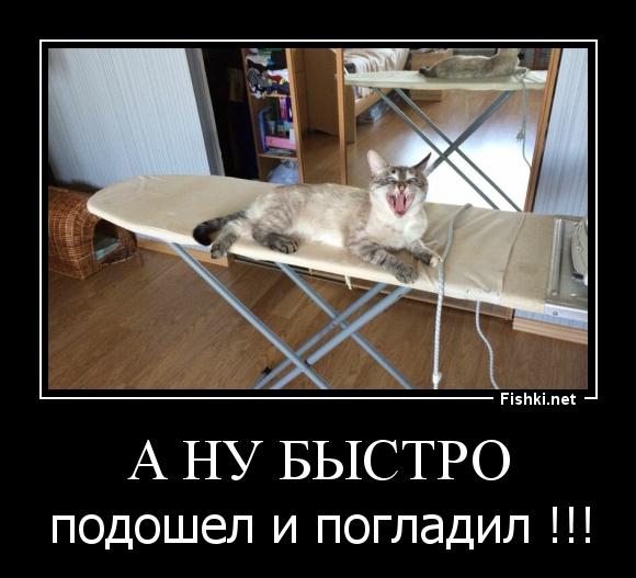 А НУ БЫСТРО