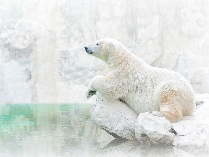 ЛУЧШИЕ ФОТОГРАФИИ NATIONAL GEOGRAPHIC МАЯ 2014