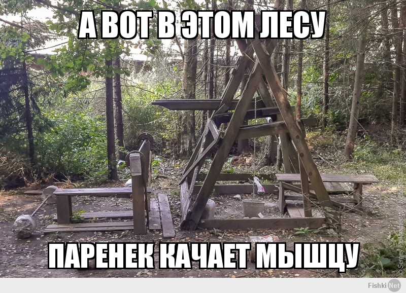 а вот в этом лесу