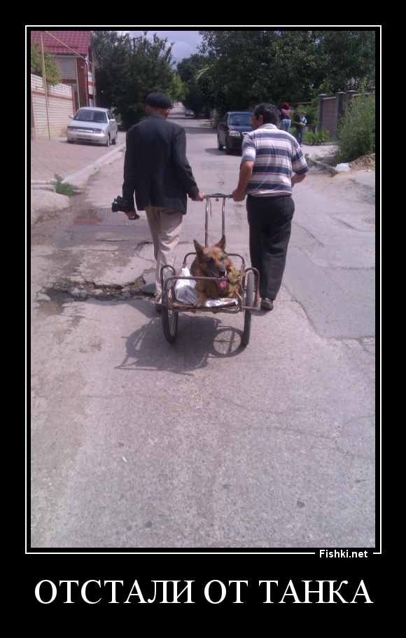 ОТСТАЛИ ОТ ТАНКА