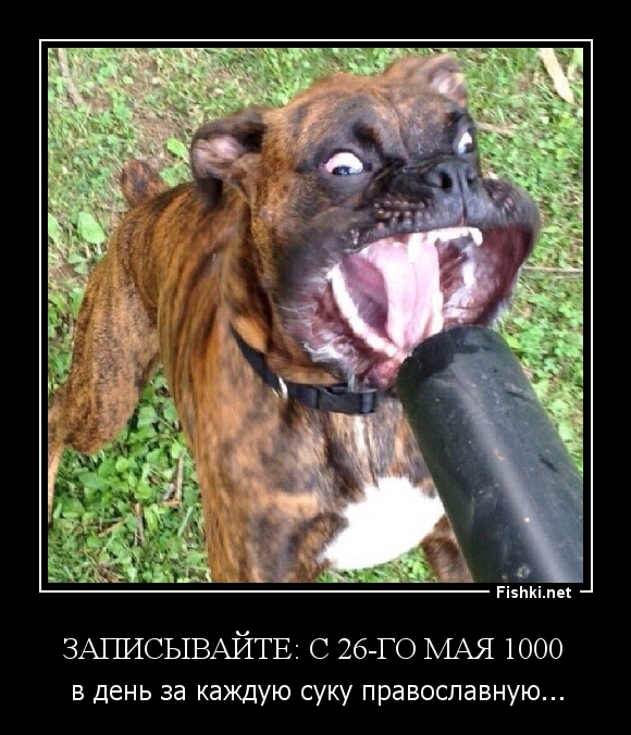 записывайте: с 26-го мая 1000 