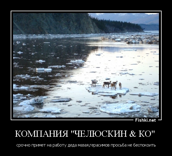 Компания "Челюскин &amp; Ко" 