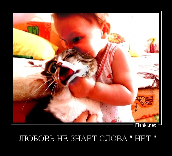  Любовь Не Знает Слова " Нет "