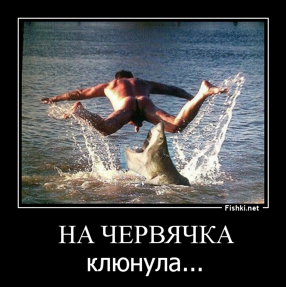  на червячка