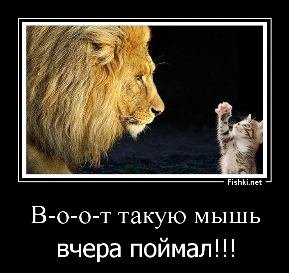 В-о-о-т такую мышь
