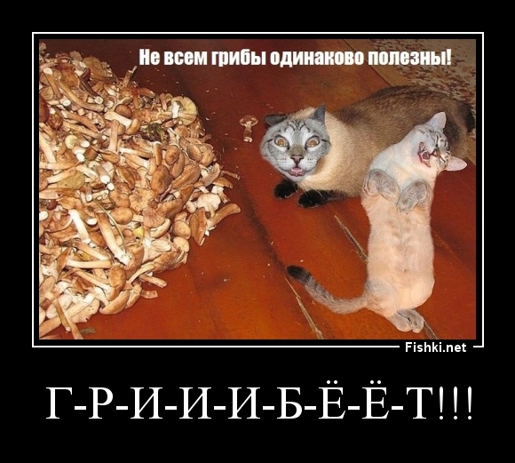 г-р-и-и-и-б-ё-ё-т!!!
