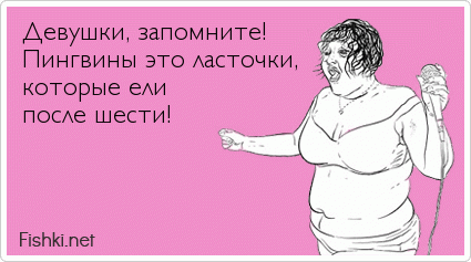 Девушки, запомните! Пингвины это ласточки, которые ели  после шести! 